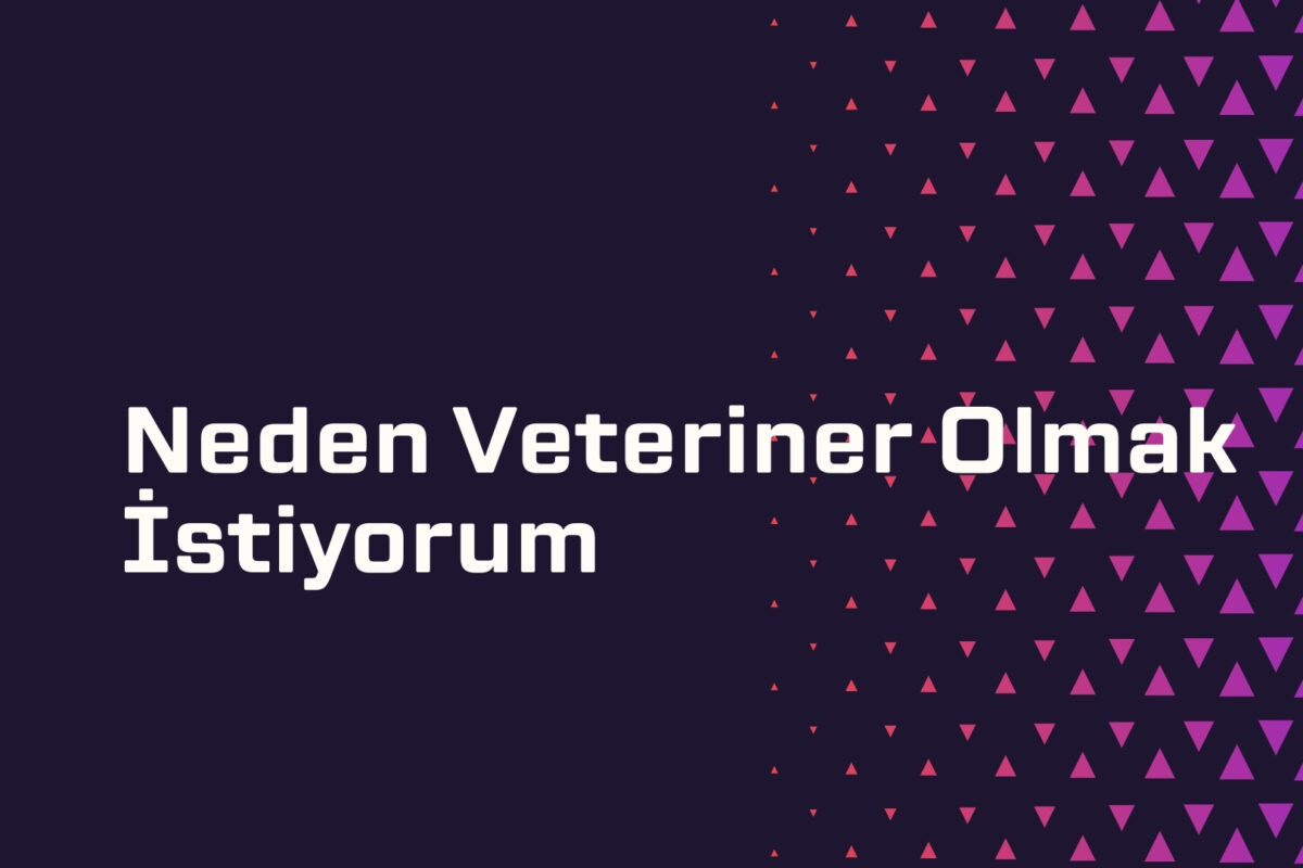 Neden Veteriner Olmak İstiyorum